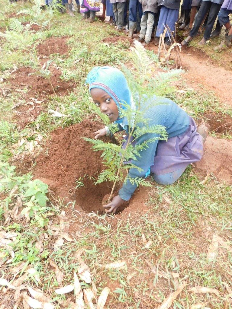 School Greening Programme for Kenyan Pupils