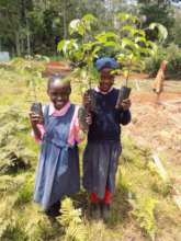 School Greening Programme for Kenyan Pupils
