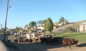 Oglakli Village