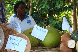Microfinance Partner Group Selling Produce