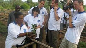 Animator explains grafting of fruit tree seedlings