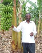 Matthew Bamwanga by a garden