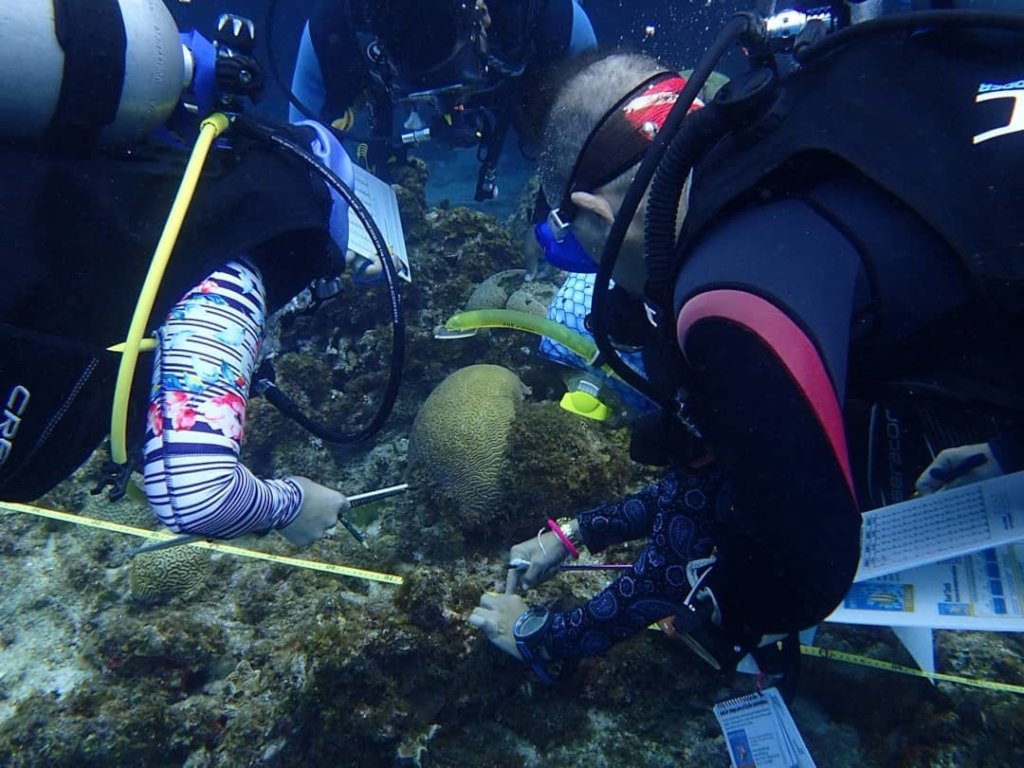 Survey the health of corals & people in San Andres