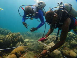 Fishermen coral gardening