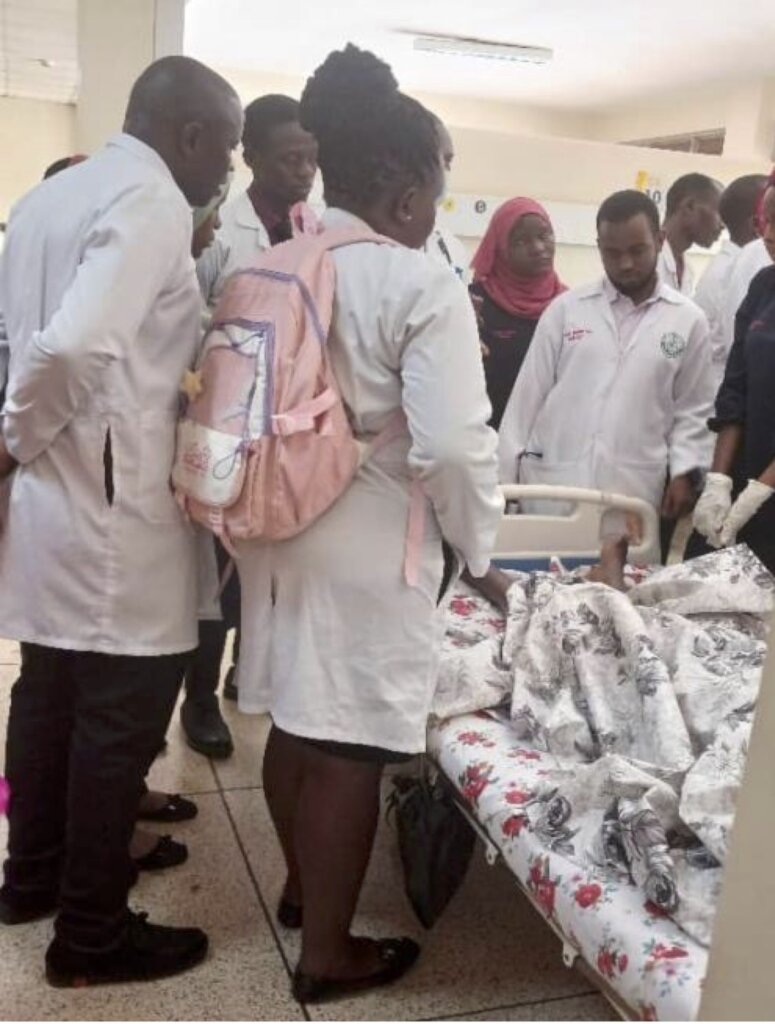 Medical students during clinical modelling