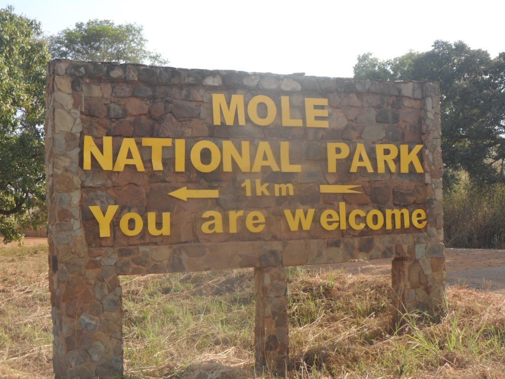 150 Women to Restore Biodiversity In Mole Park