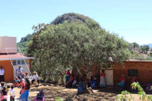 Diana Laura Rioja's elementary school