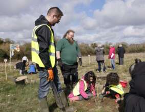 28 ash & oak trees, 28 schools complete the wood