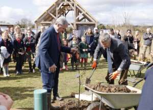 The final tree, the Platinum Jubilee Oak.