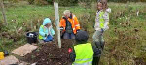 Children plant wildflowers around their Elm tree