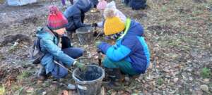 2nd year at Bury Hill... more than 1000 more trees
