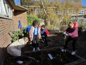 Children digging up their trees in school