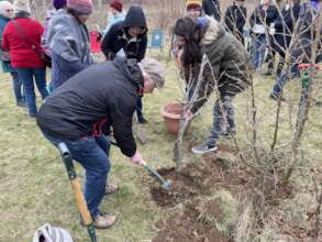 Tree in memory of much-loved musician Paul Sartin