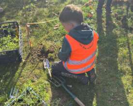 Planting the wildflowers that were grown from seed