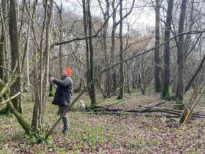 Coppicing training on nearby Trinley Estate
