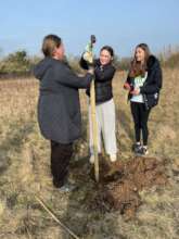 Youth team plants first of the new Elm trees