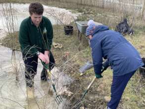 Work experience student managing pond and Willows