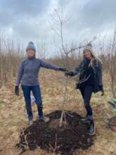 Home-grown Oak