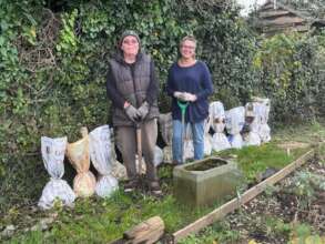 Lifting trees from the community tree nursery
