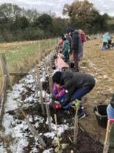 Snow did not deter the day's tree planting