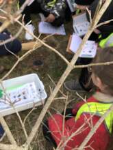 Pupils exploring what lives 'UnderEarth'