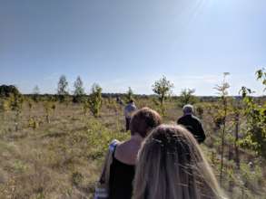 Walks and Talks