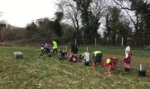 Final planting of the winter in Harmony Woods