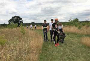 Work experience for Y10s - mulching & tagging