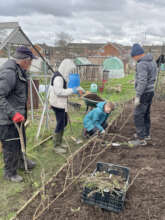 Learning to plant out tree whips in the nursery