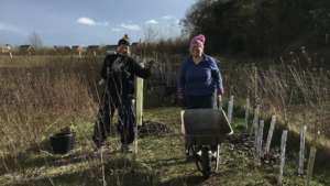 Finishing the hedge on behalf of the children