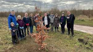 A Tree for Jane