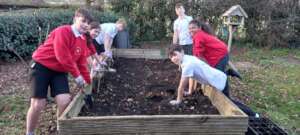 School Tree Nursery Beds Are Re-instated