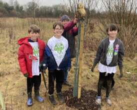 Plant-for-the-Planet Ambassadors plant Elm & Elder
