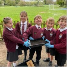 Sowing seeds for biodiversity