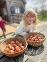 Natural egg dying - Easter in the wood