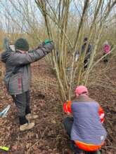 First hazel coppicing in our own wood