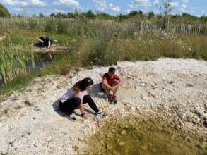 What's in the pond?