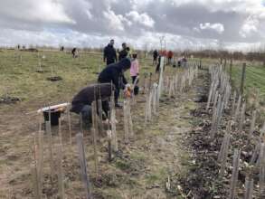 Community hedge planting!