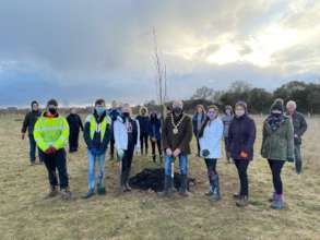 The Whitebeam - a Community Reflection Tree