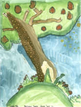 Trees were the theme of July's art gallery!