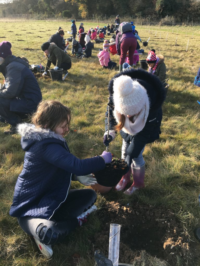 10000 Children - 10000 Trees - For You