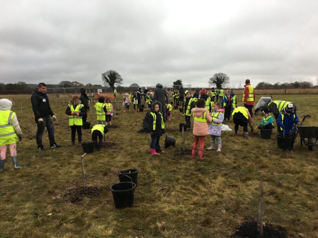 10000 Children - 10000 Trees - For You