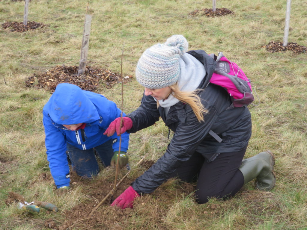 10000 Children - 10000 Trees - For You