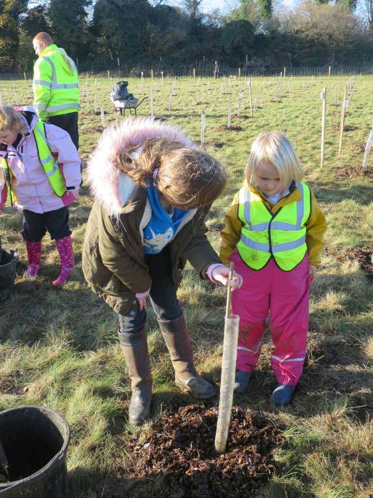 10000 Children - 10000 Trees - For You