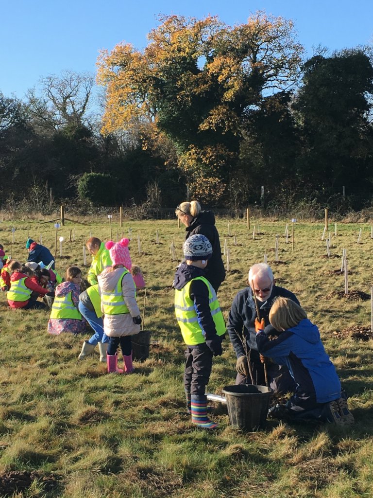 10000 Children - 10000 Trees - For You