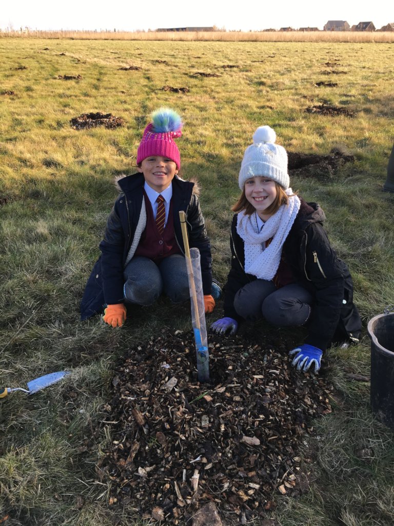 10000 Children - 10000 Trees - For You
