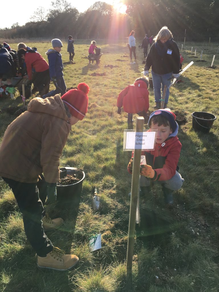 10000 Children - 10000 Trees - For You