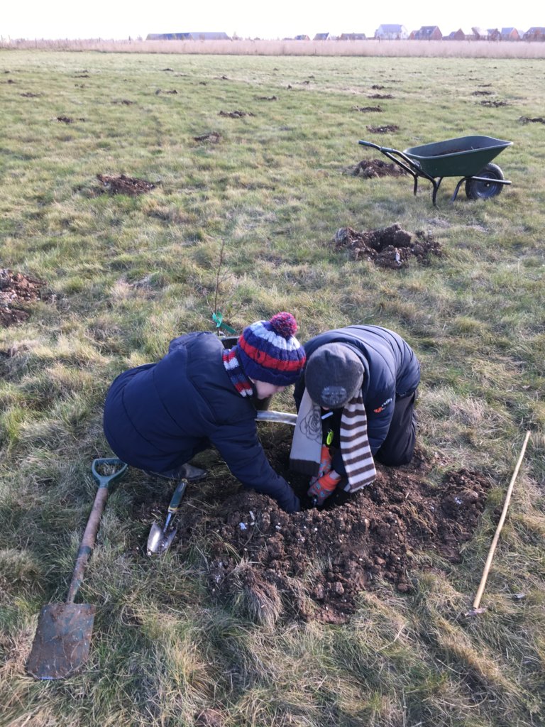 10000 Children - 10000 Trees - For You