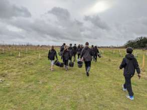 More tree planting