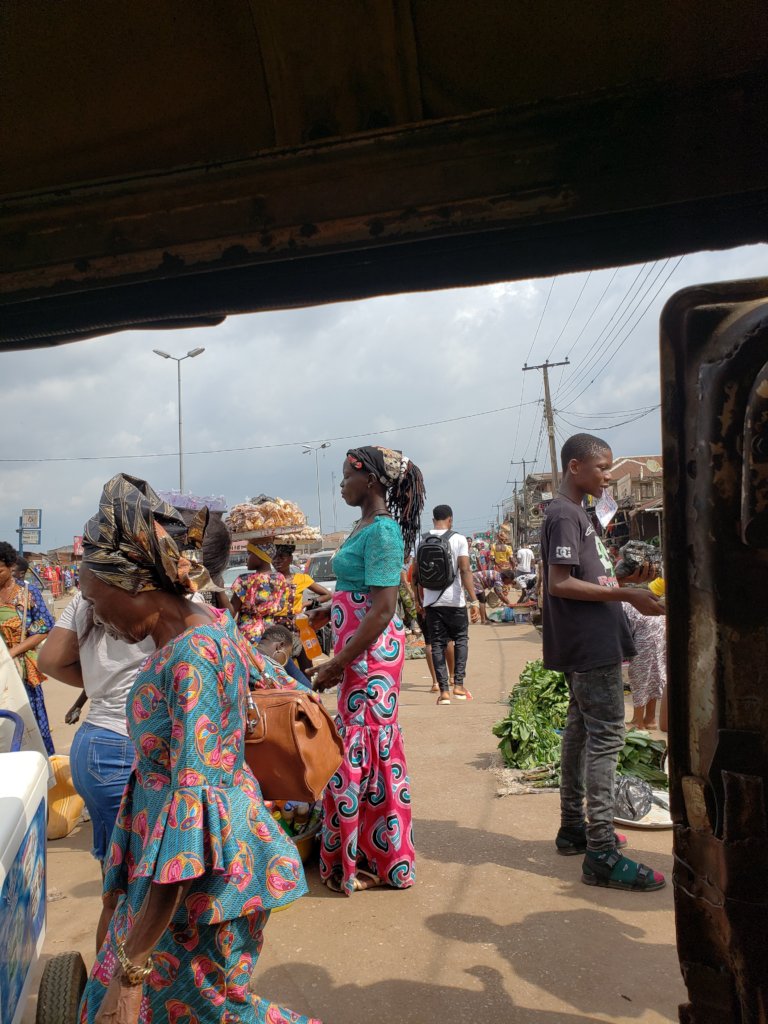 Empower 100 Hydroponic Urban Farmers in Benin City